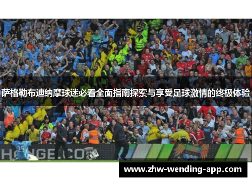 萨格勒布迪纳摩球迷必看全面指南探索与享受足球激情的终极体验