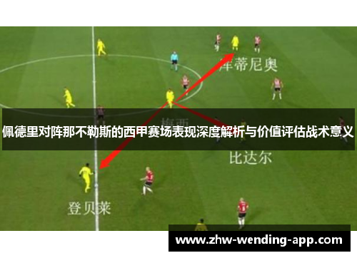 佩德里对阵那不勒斯的西甲赛场表现深度解析与价值评估战术意义