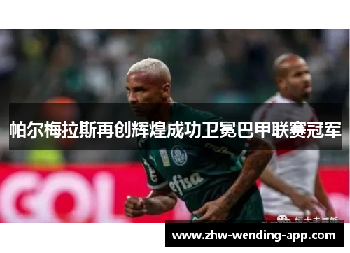 帕尔梅拉斯再创辉煌成功卫冕巴甲联赛冠军 帕尔梅拉斯再创辉煌成功卫冕巴甲联赛冠军